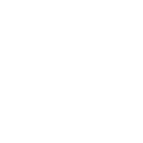 akcija